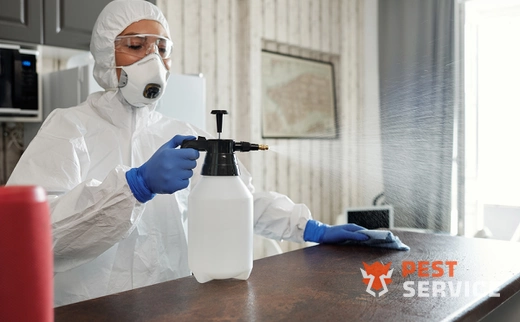 Дезинфекция в Копейске