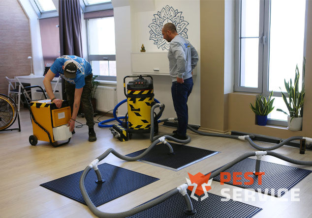 Профессиональная сушка после потопа в Копейске от 3000 руб. Быстро устраняем влагу, предотвращаем плесень и повреждения. Современное оборудование и опытные специалисты. Безопасно и эффективно.